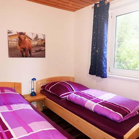 Moderner Doppelbungalow Mit Terrasse Und Grill Im Mirow Holiday home